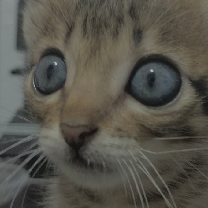 #NewProfilePic https://t.co/q8T7Rfk2XS<a href="/tag/newprofilepic"class="tags">#NewProfilePic</a>