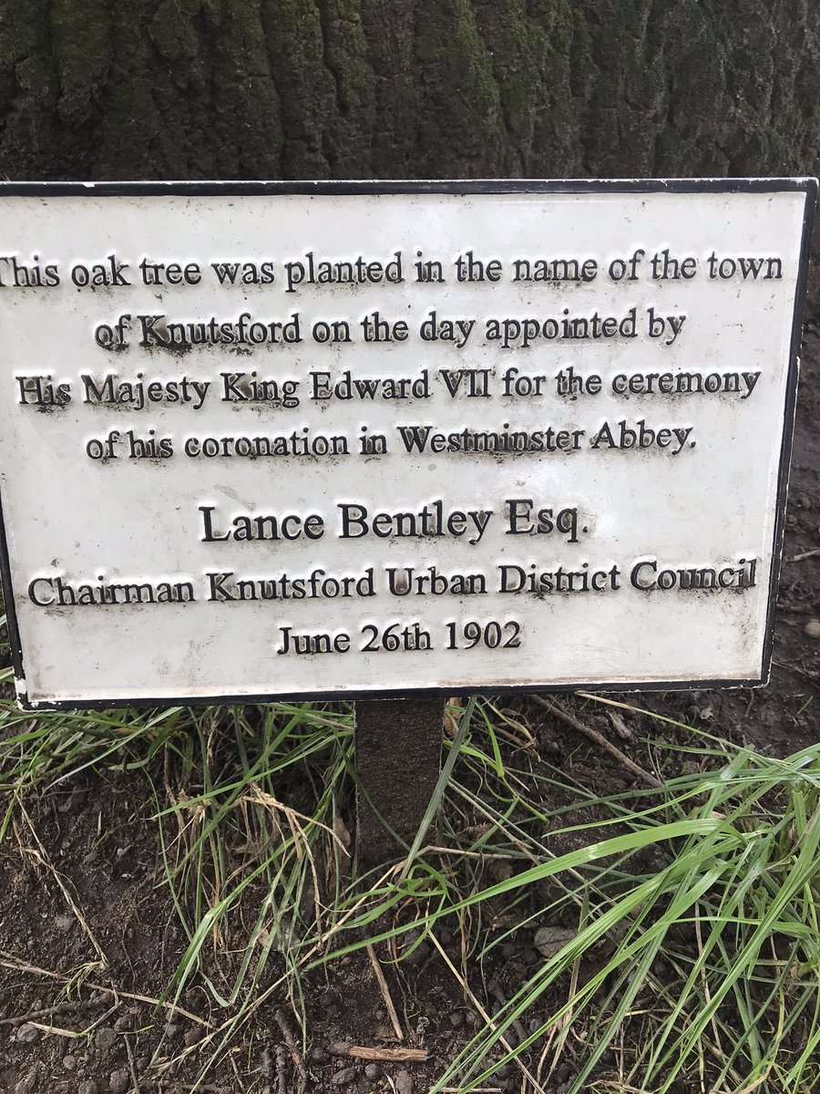 Shining new plaque for the Kings oak tree planted on the Heath. 
In the distance you can see the other oak tree planted for King Edward…
#knutsford