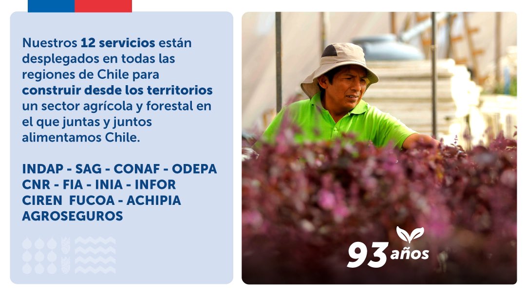 MinagriCL's tweet photo. Hoy nuestro querido @MinagriCL cumple 93 años 🌱🎉

Le enviamos un afectuoso abrazo a las y los funcionarios de todas las regiones que trabajan día a día para impulsar la ruralidad desde los territorios, construyendo un sector agrícola y forestal en el que alimentamos Chile 👩‍🌾👩‍🌾 https://t.co/TaK2bptgoi