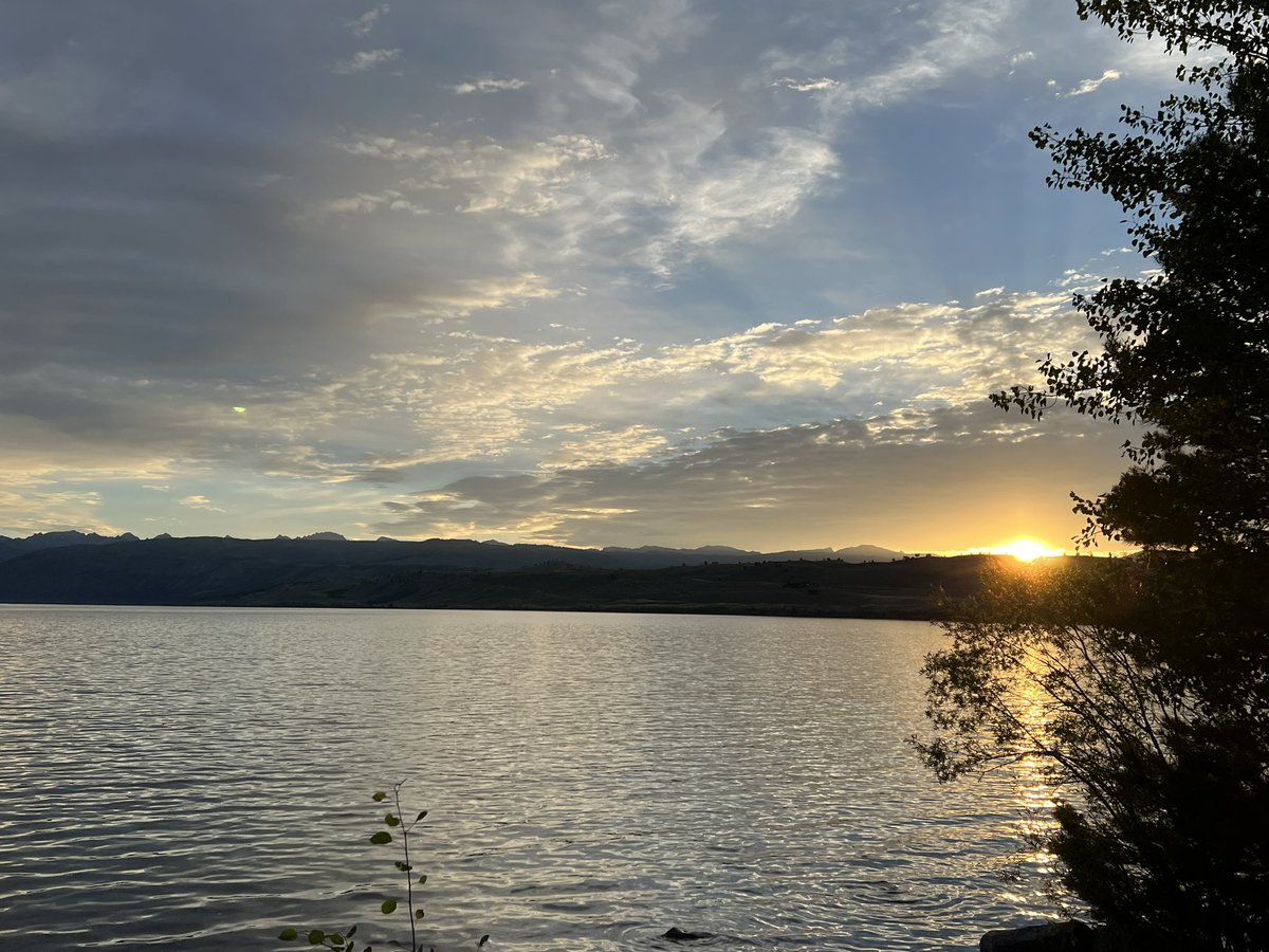 Janice Cowden tweet media