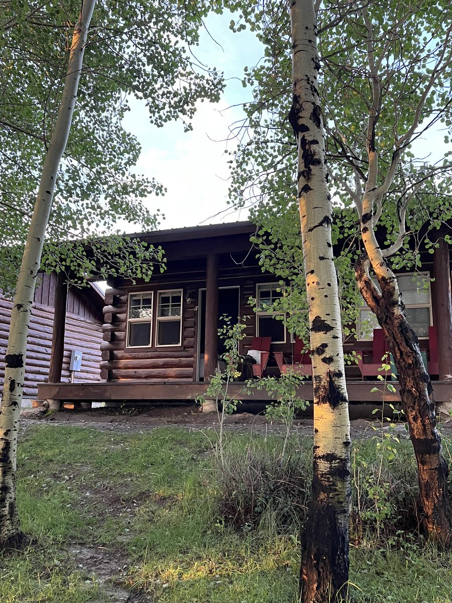 Janice Cowden tweet media