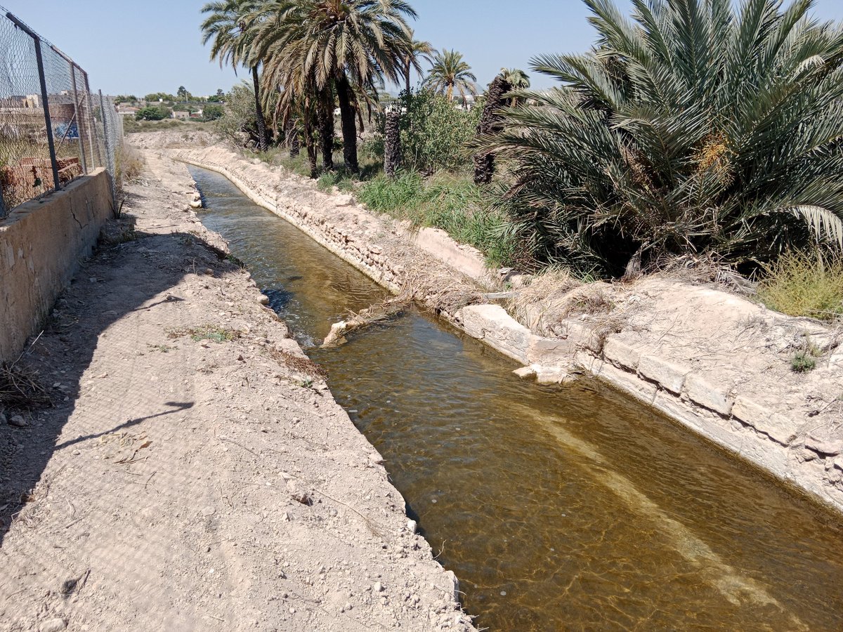 Partior de Martxena.
Aixina, tapiat, no arribarà al Magram.