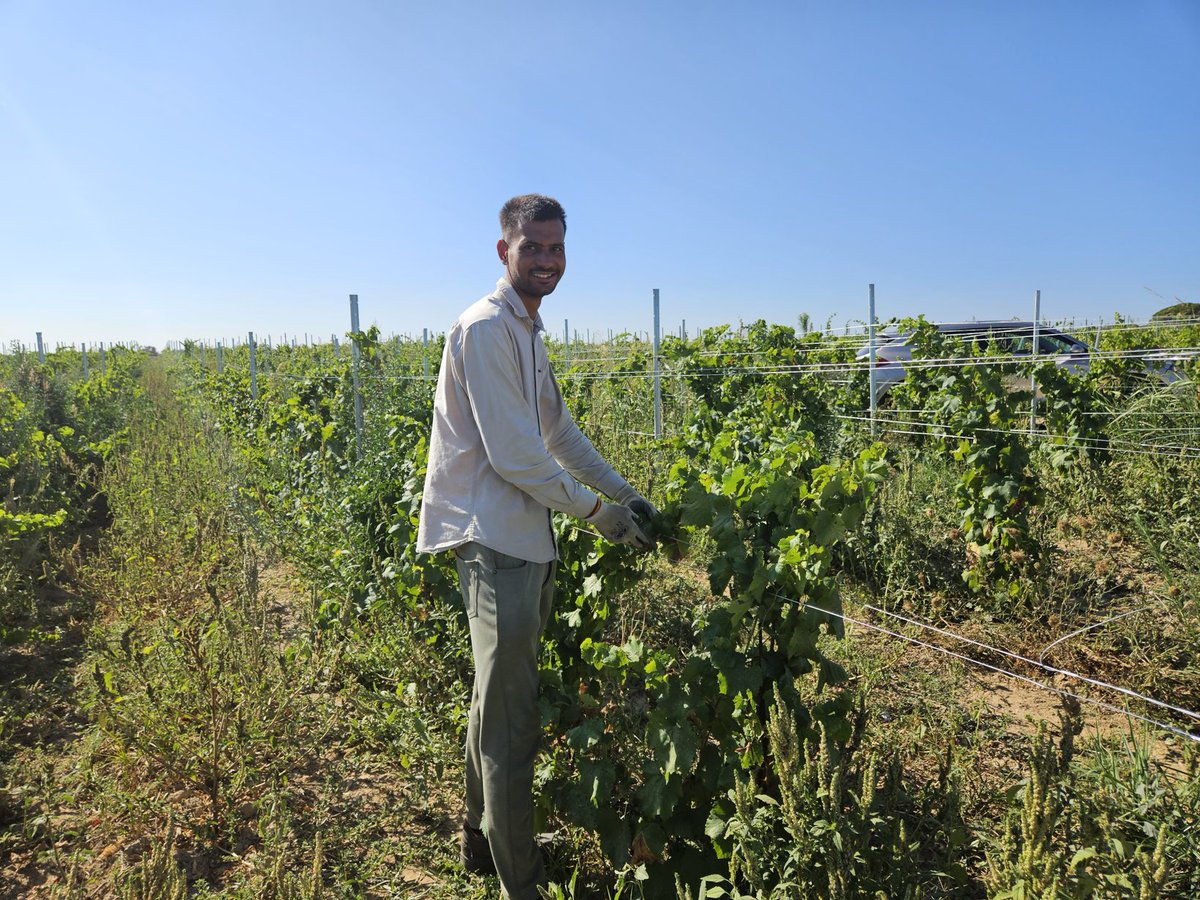fai_cisl's tweet photo. #Lavoro in #agricoltura, la visita del SG @OnofrioRota e una delegazione @FaiCislPuglia e @FaiLecce prosegue  in un'azienda di #Caprarica che opera in #zootecnia, produzione di #vino, #olio e #agriturismo. Qui lavorano stabilmente una decina di ragazzi indiani. https://t.co/kPepbqDvlK