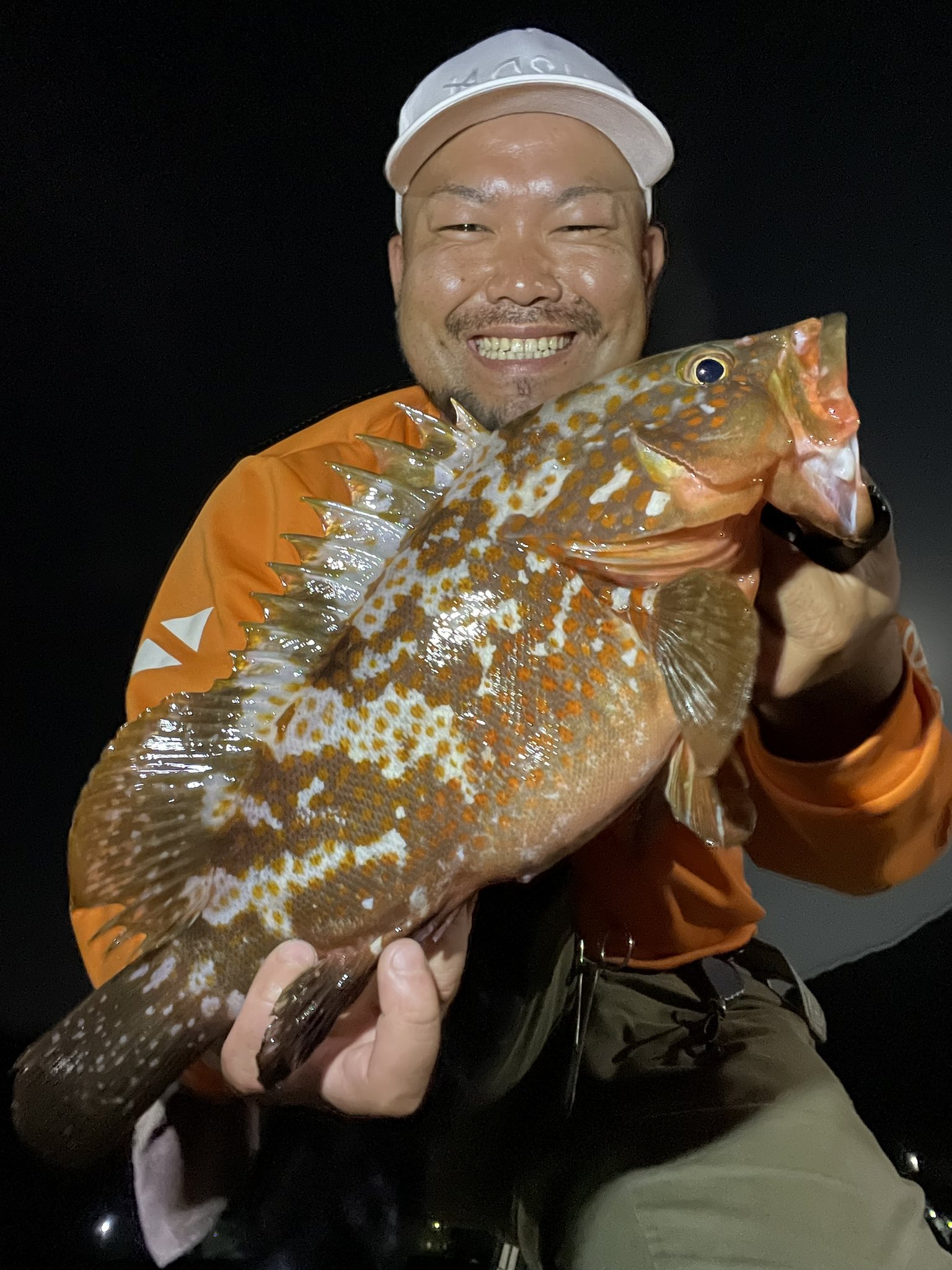 釣り豚 on X: 釣り豚 on X: