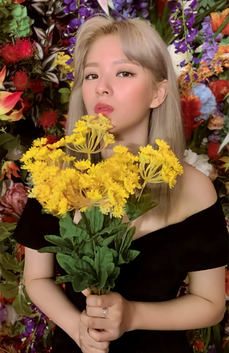jeongyeonhour's tweet photo. Eyes Wide Open "Photocard" Front &amp; Back - Jeongyeon (1/10) 
Scan: @.njmsjmdct
Edition &amp; Back: @.sweet_venus9 https://t.co/mJxZm0LZpO