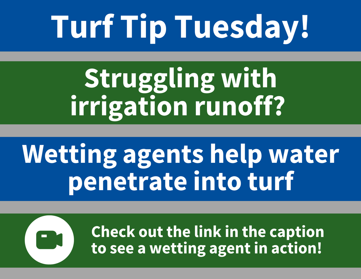 AquiMaxTurf's tweet photo. Is your soil struggling to soak up water? When soils become water-repellant or hydrophobic, wetting agents are a surefire way to get moisture into soil. See how wetting agent, Lateral, penetrates hydrophobic soils: https://t.co/LAmqYG75CI #turfmanagement #turftips #turftwitter https://t.co/Vc0ZQn20Fk