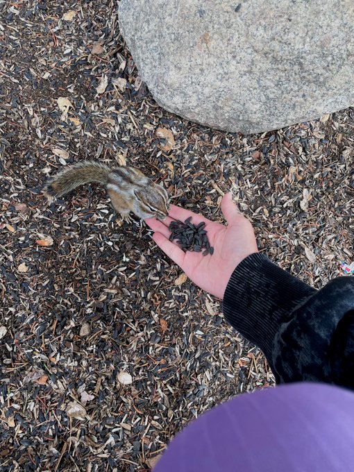 Some photos from Colorado ⛰️ https://t.co/Iyc69Y3KSx