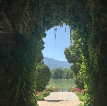 artindetaiIs's tweet photo. pov: you’re in a jane austen movie adaptation https://t.co/XgDhCmd7Zf