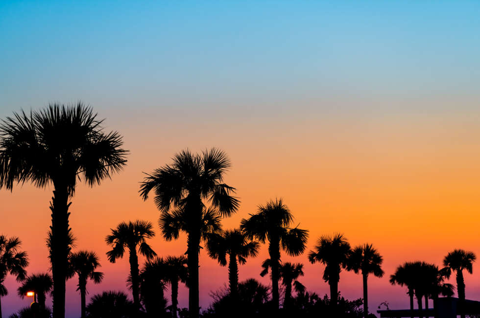 Hello August, full of warm days and beautiful sunsets.
💻 siestakeybeachsidevillas.com
📞 941-203-5985
#sarasota #siestakeyhotel #siestakeybeach #siestakey #sunsets