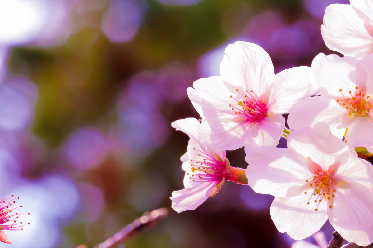 jtwaG46's tweet photo. カメラ初心者🔰
愛用はCanon EOS kiss X9i
気軽に絡んでもらえたり、いいね、RTしてもらえると喜びます🤭✨

#カメラ初心者
 #カメラ女子 
#写真好きな人と繋がりたい
#写真撮ってる人と繋がりたい https://t.co/ixeuMlAHw2