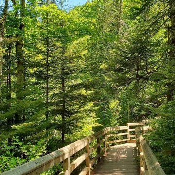 artindetaiIs's tweet image. sense of belonging.