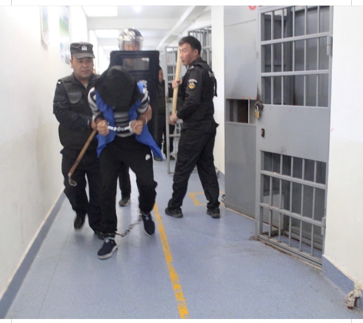 TashiDorjey_'s tweet photo. The ongoing #UyghurGenocide in China cannot be ignored.

Over 3 million Uyghurs are enduring long-term imprisonment and forced labor, while innocent children remain locked in orphanage camps.

We must raise our voices to end this humanitarian crisis and stand with the oppressed. https://t.co/d1sxA9Qaai