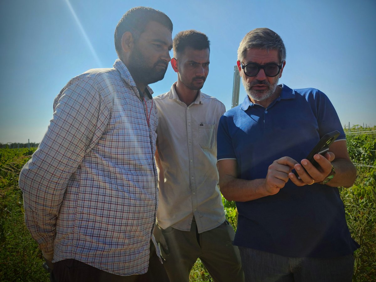 fai_cisl's tweet photo. #Lavoro in #Agricoltura, durante la visita ad aziende agricole nel leccese, il SG @OnofrioRota illustra l'app We-Fai, dove i #lavoratori possono scaricare e condividere opuscoli tradotti in più lingue, sui temi della #disoccupazione agricola e #sicurezza nei luoghi di lavoro. https://t.co/VtjLBIIFyl