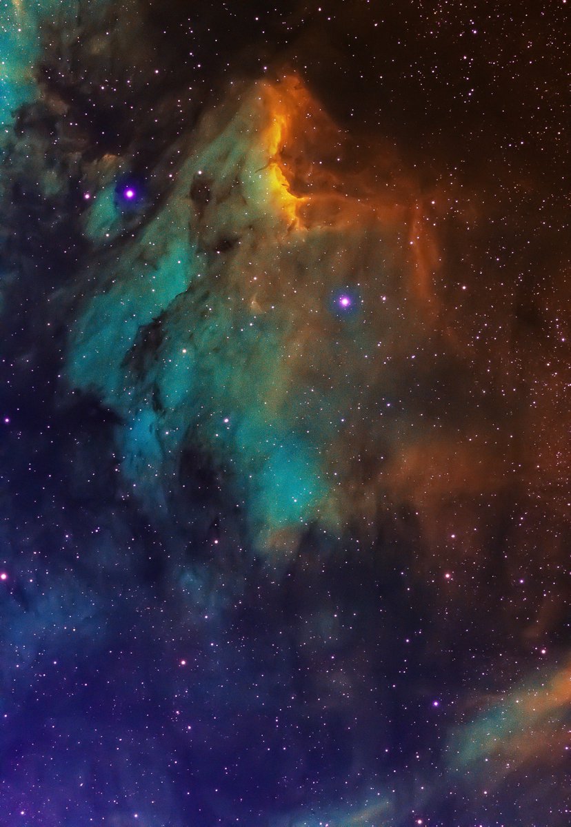 pictures's tweet photo. the Pelican Nebula https://t.co/ZcyeJ9pN7d