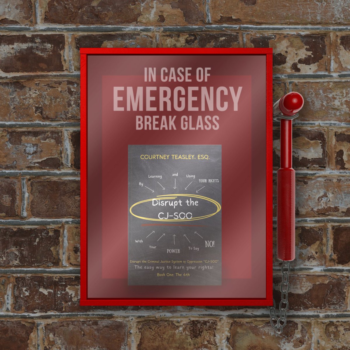 emeffenMFn's tweet photo. Don't wait until there is an emergency to break this glass. Be proactive and do it now! Learn Your Rights the easy way, then use the syllabus inside to teach your loved ones!

Only at https://t.co/HSPbKxDPUJ https://t.co/EOx7vDDGsK