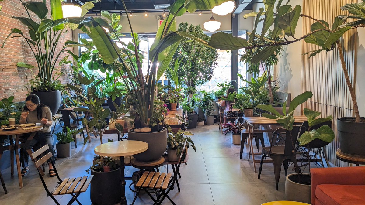 thelosthippie's tweet photo. Prettiest and most relaxing coffee shop in the world. https://t.co/Wi68xh3yED