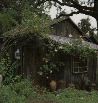 artindetaiIs's tweet photo. into the woods. https://t.co/Ay6QsknriK