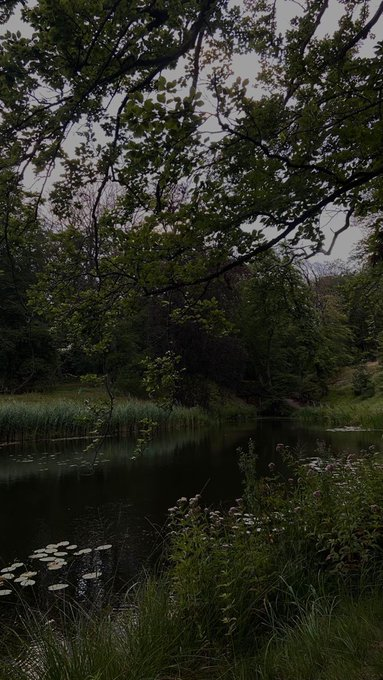 artindetaiIs's tweet photo. into the woods. https://t.co/Ay6QsknriK