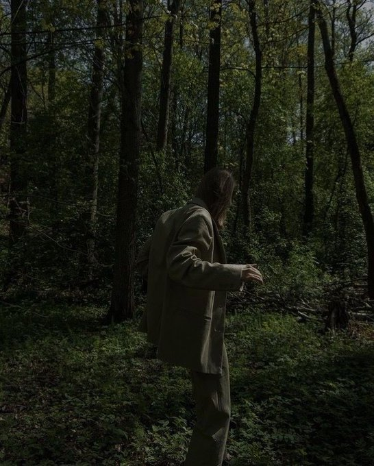 artindetaiIs's tweet photo. into the woods. https://t.co/Ay6QsknriK