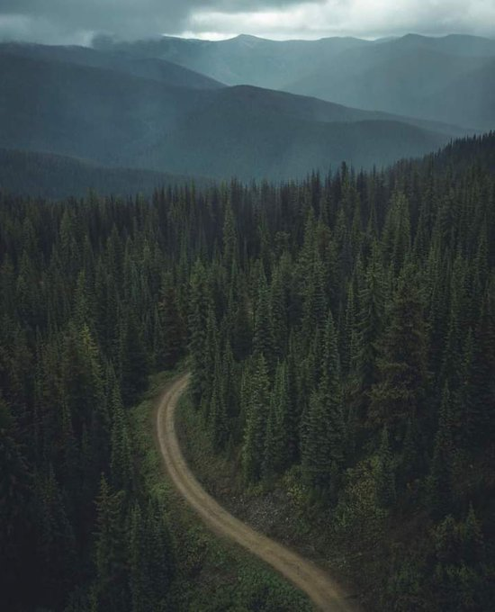 artindetaiIs's tweet photo. let’s run away. https://t.co/x6xxiJ1GDf