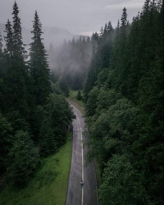 artindetaiIs's tweet photo. let’s run away. https://t.co/x6xxiJ1GDf