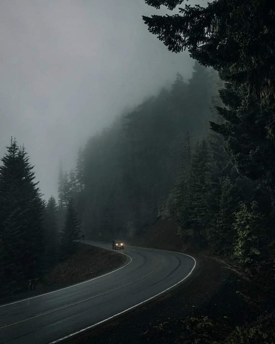 artindetaiIs's tweet photo. let’s run away. https://t.co/x6xxiJ1GDf