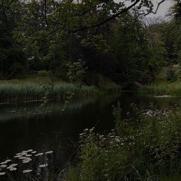 artindetaiIs's tweet photo. gloomy weather. https://t.co/37Z97rvHy8
