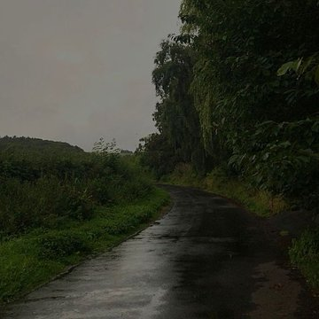 artindetaiIs's tweet photo. gloomy weather. https://t.co/37Z97rvHy8