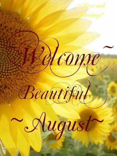 mmooha's tweet photo. Hope you all have a sunny August filled with wonderful words. #august #reader #writer #words https://t.co/QOOU4UiMmb