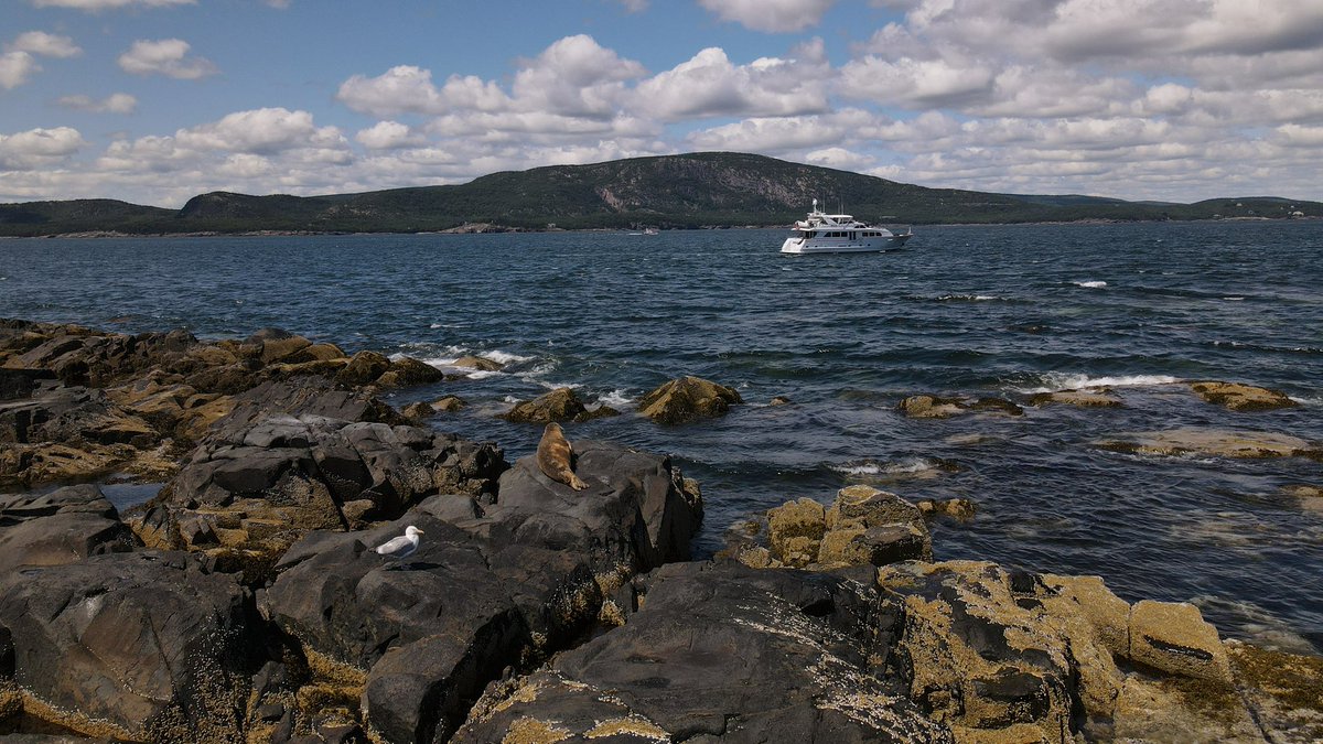 ReefKai's tweet photo. Acadia National Park Maine https://t.co/NGPfv9OynM