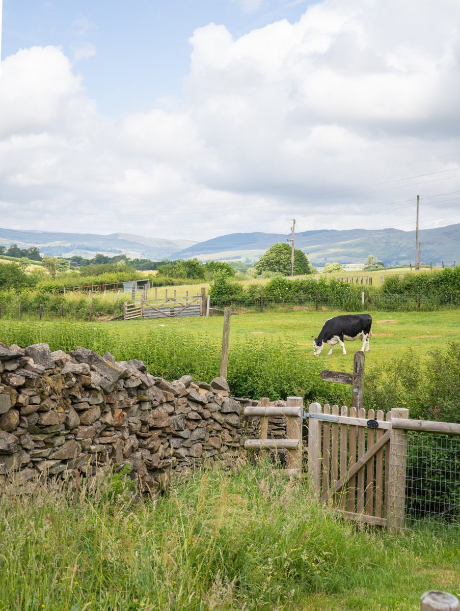 CroftFootPods's tweet photo. ☀️August is here - let’s hope it brings back the good weather with it! #glamping #cumbria #summer #pods #holiday #farmstay #staycation https://t.co/P8I0zNrUeJ
