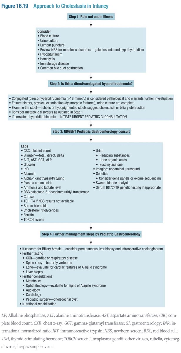 OnSquares's tweet photo. Approach to Cholestasis in Infancy 👶

📖 Reference: The Hospital of Sick Children Handbook of Pediatric 12th edition 
#Pediatric #Neonatology #Gastroenterology https://t.co/nPwEdtptDW