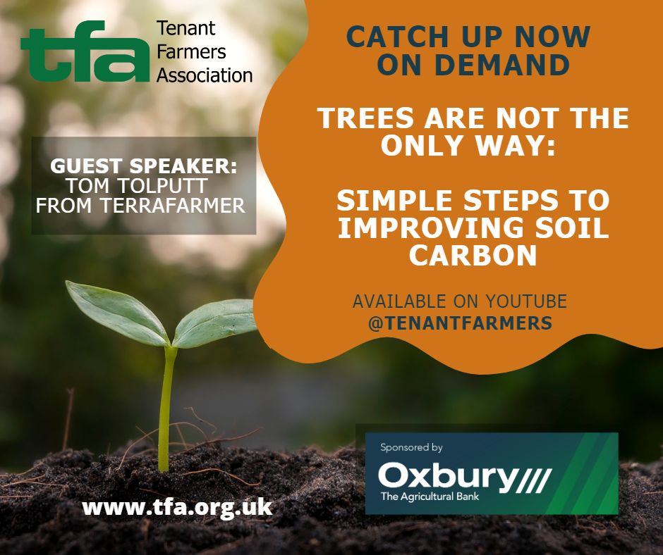 Missed our soil carbon webinar? No worries - Catch up on-demand &amp; learn how land managers can improve production efficiency while sequestering #carbon. Hear from guest speaker Tom Tolputt &amp; TFA member James Willcocks. Visit: bit.ly/soilcarbon_cat…
#webinar #Sustainablefarming