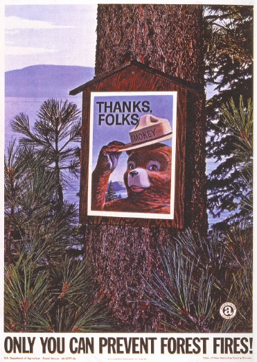 Ontario Forest Fires tweet media