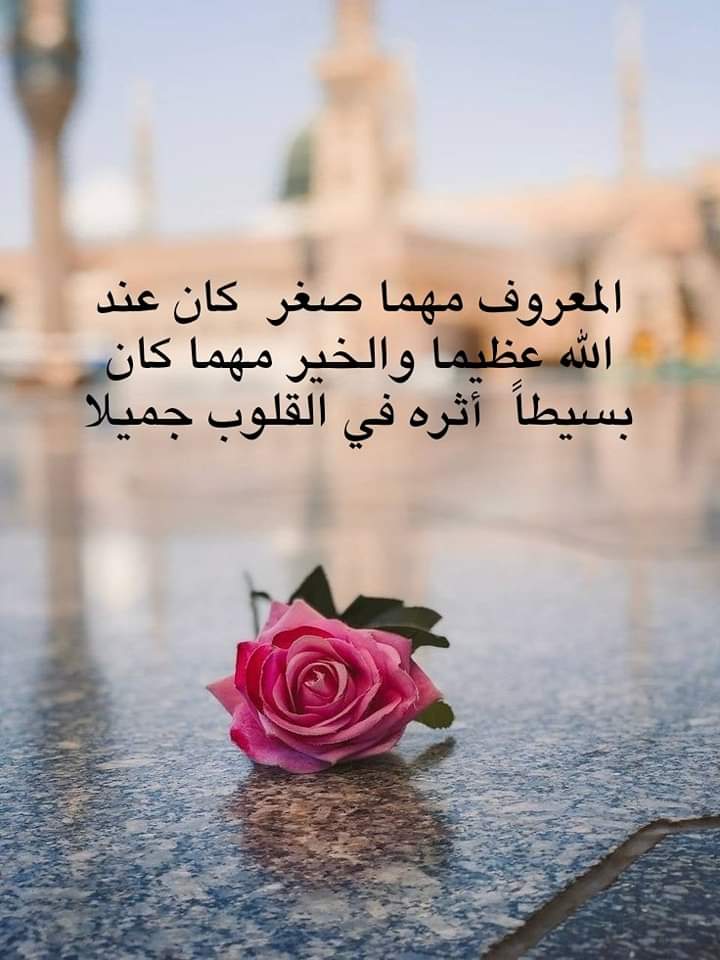 المعروف مهما صغر ، كان عند الله عظيما .. والخير مهما كان بسيطاً ، أثره في القلوب جميلا
اسعد الله كل اوقاتكم.....