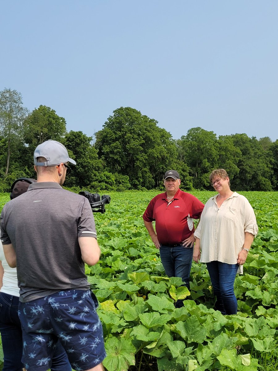 ONProcessingVeg's tweet photo. Out and about in Ontario, talking #local with @CTVLondon @FieldstoForks and Tracey &amp; Pete Gubbels 
#localallyearlong #ONProcessingVeg 
#butternutsquash https://t.co/G4UH39B4B0