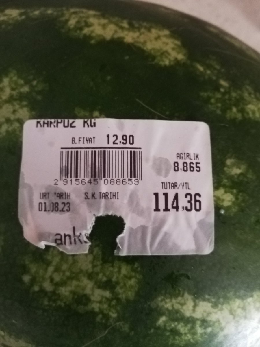 n_karslioglu's tweet photo. 1 karpuzun 115 TL olduğu ülkede Cumhurbaşkanı, Maliye Bakanı, 22 BAKAN, 600 Milletvekili ve Merkez bankası başkanı konuşmaları ve demeçleri BOŞ LAKIRTIDIR. https://t.co/G34ERw5NJn