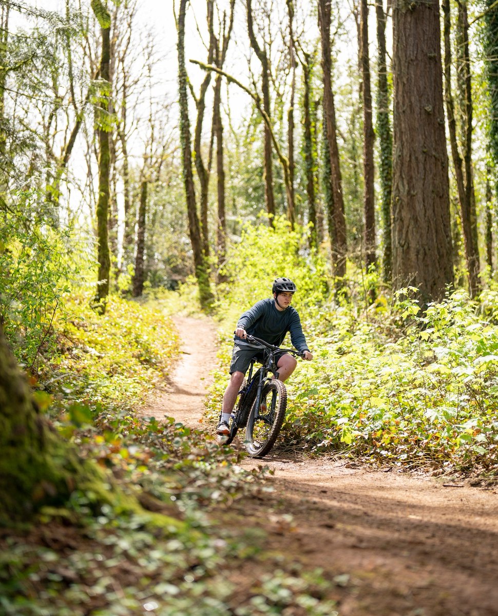 yamahabicycles's tweet photo. Just you and your favorite trail. 🤗
#YDXMOROPro #YamahaBicycles #Yamaha #mtblife #mountainbike #mountainbiking #mtblove https://t.co/Nz0VhIYrd5