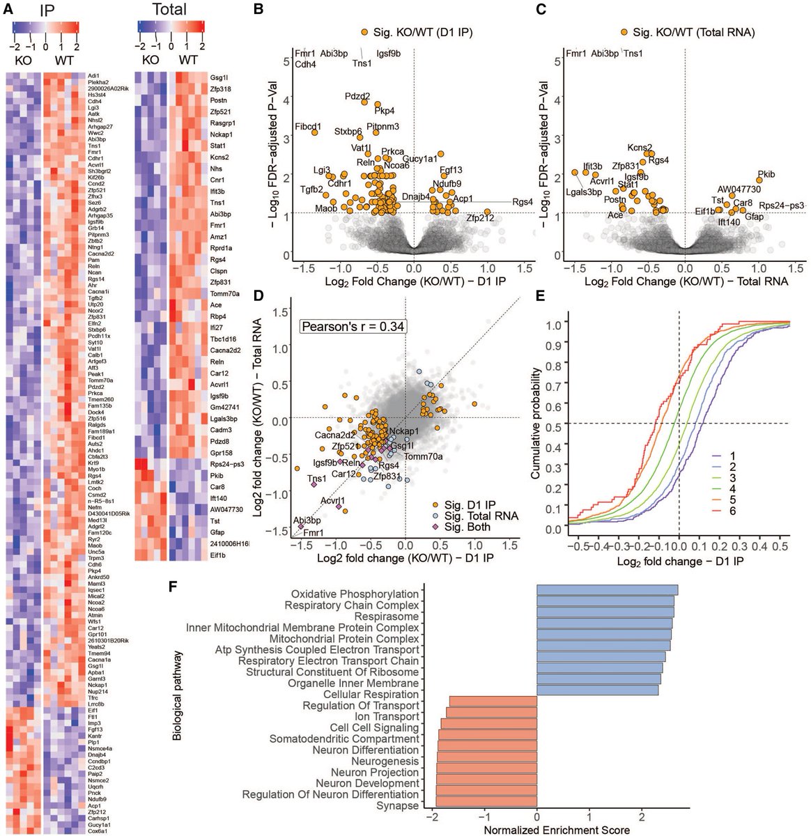 Francesco Longo tweet media