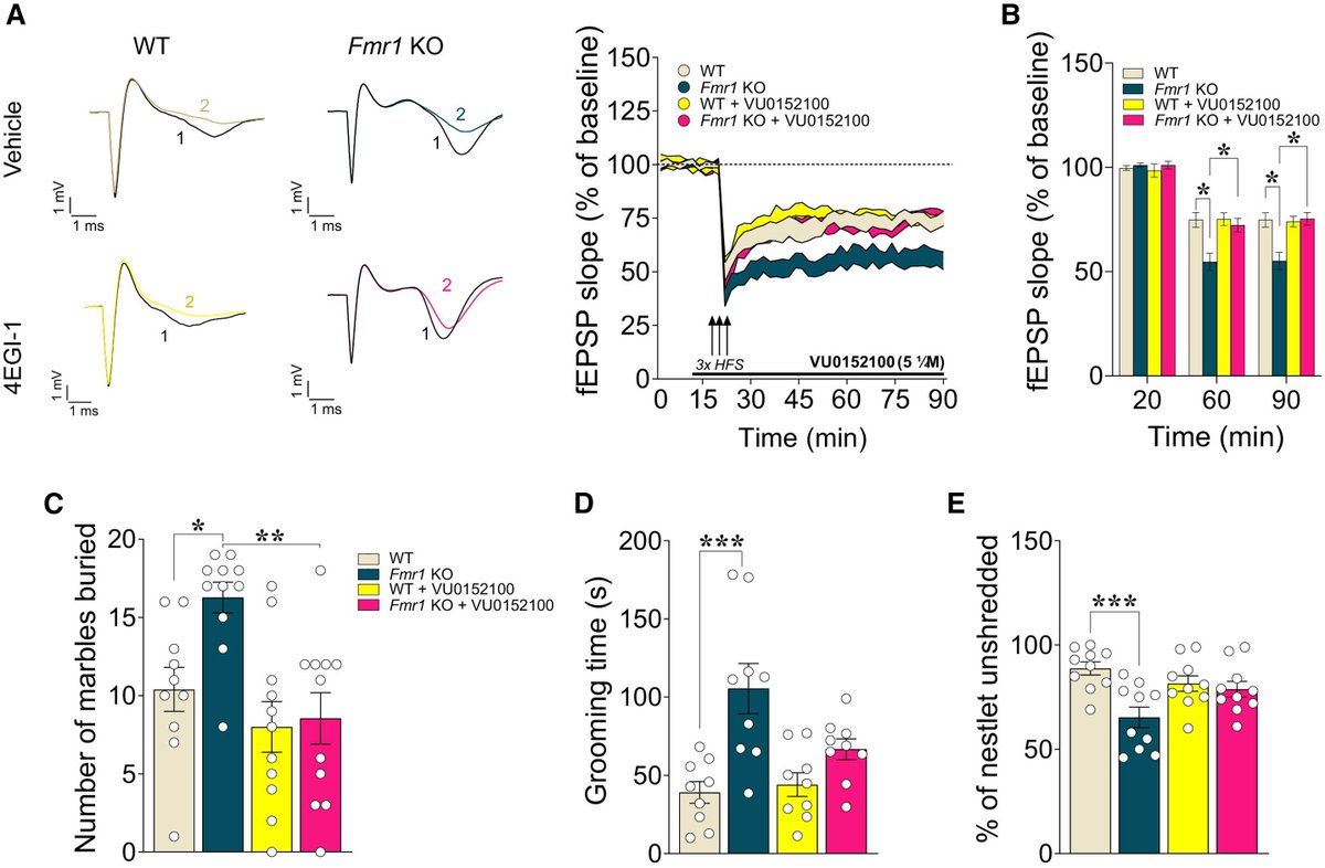 Francesco Longo tweet media