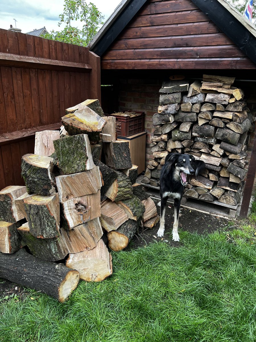 Another load tonight, think I’m gunna need a bigger log store. Several more loads to go 🙈
#logburner #freefuel #woodburner #oak #firewood #winterready
