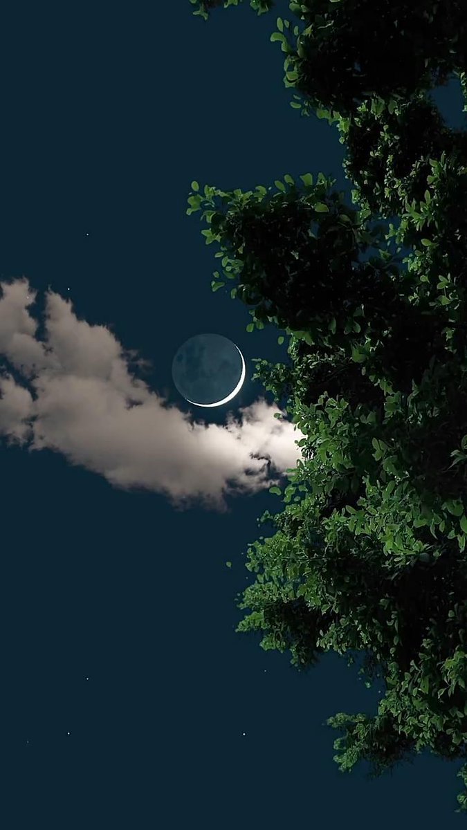 "Rabbin seni terk etmedi, sana darılmadı da."

Duha/ 3