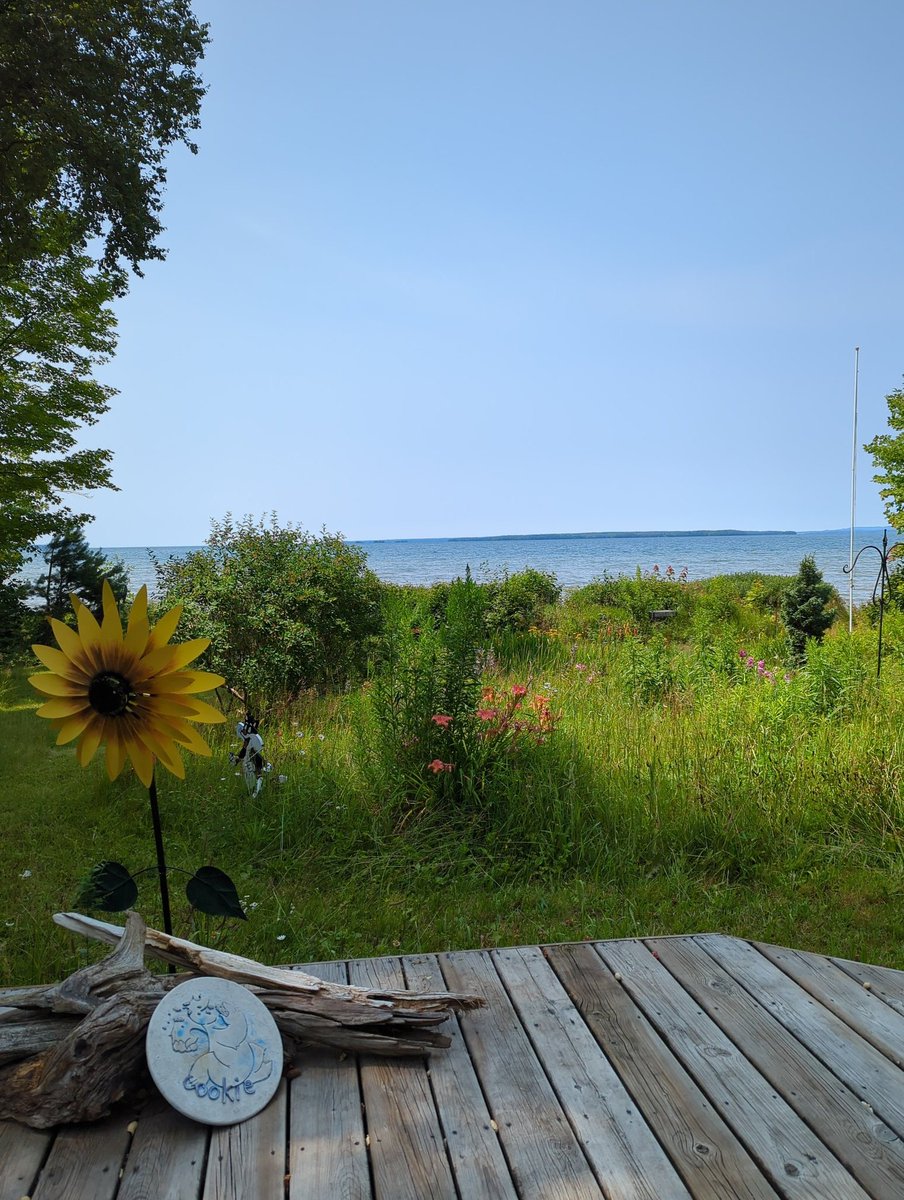 Bill Dew (he/him) tweet media