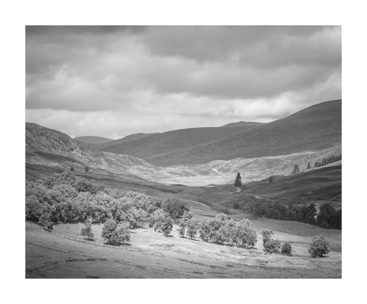 smgraceengines's tweet photo. Back in our favourite east coast glen at the weekend #glenisla #angusglens #tulchan #scotlandsglens #blackandwhitephotography #scotlandslandscape https://t.co/ckhMPQAfDF