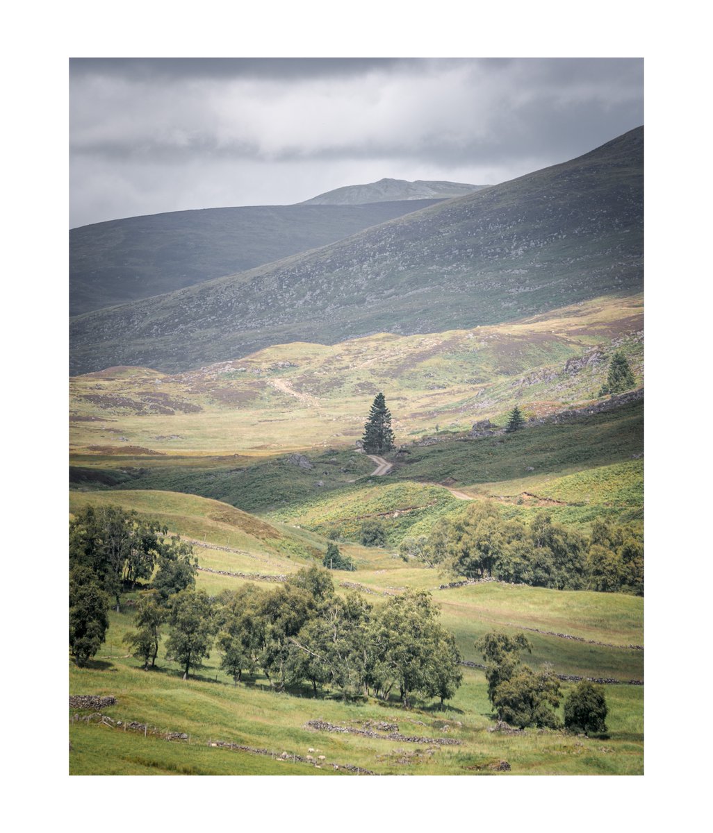 smgraceengines's tweet photo. Back in our favourite east coast glen at the weekend #glenisla #angusglens #tulchan #scotlandsglens #blackandwhitephotography #scotlandslandscape https://t.co/ckhMPQAfDF