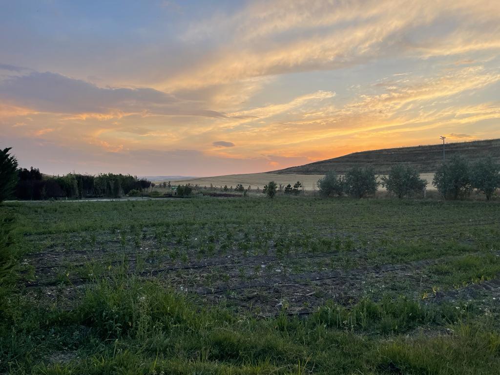Abdullahyuksll's tweet photo. Ülkü Ocakları Ankara İl Başkanlığı olarak, Permakültür Ata Tohum Bahçemizi ziyaret ederek projemizin ikinci aşamasında ürünlerimizin gelişimini inceledik. https://t.co/l7Ora7YPdn