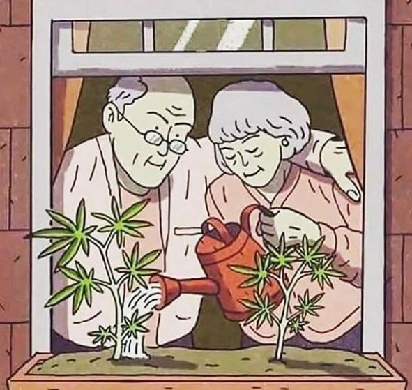 GeniusPothead's tweet image. Life goals