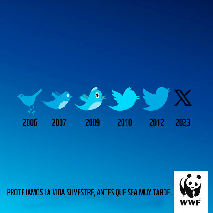 WWF Colombia (@wwfcolombia) on Twitter photo El pájaro de Twitter no es el único que desaparece 🐦⬛❌ Las poblaciones de vida salvaje han disminuido un 69 % en promedio desde 1970.
Es urgente unirnos por un #PlanetaVivo
©️ <a href="/WWF_Deutschland/">WWF Deutschland</a> El pájaro de Twitter no es el único que desaparece 🐦⬛❌ Las poblaciones de vida salvaje han disminuido un 69 % en promedio desde 1970.
Es urgente unirnos por un #PlanetaVivo
©️ <a href="/WWF_Deutschland/">WWF Deutschland</a>