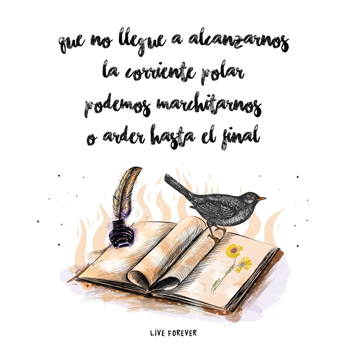 soyLiveForever's tweet photo. Acabaré éste café y cambiaremos el mundo ☕️🖤🔥 @shinovaoficial https://t.co/kzcUHhWRFG