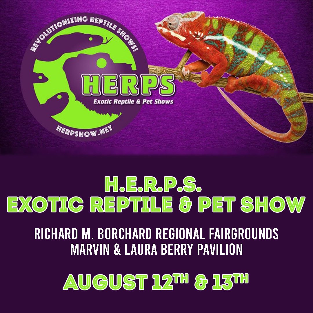 RMBRFairgrounds's tweet image. HERPS Exotic Reptile &amp;amp; Pet Show - one of the largest selections of reptiles, amphibians, inverts, feeders, supplies, and so much more! 
📍RMB Fairgrounds Berry Pavilion 
🗓: Aug 12th &amp;amp; 13th
🚪: 10AM
Tickets can be purchased at the door.
#rmbfairgrounds #coastalbend